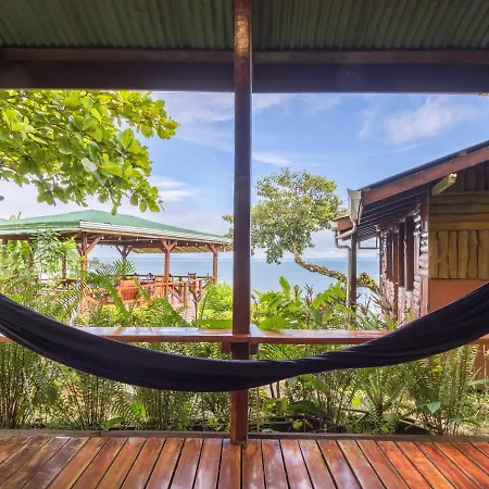 Las Cotingas Ocean View Drake Bay Exterior photo