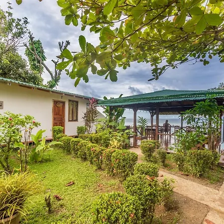 Las Cotingas Ocean View Drake Bay Exterior photo