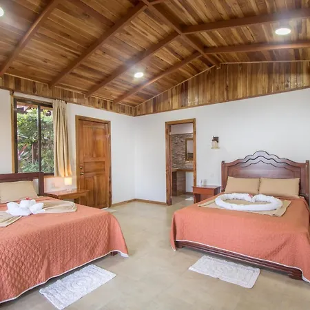 Las Cotingas Ocean View Drake Bay Exterior photo