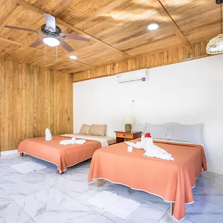 Las Cotingas Ocean View Drake Bay Exterior photo