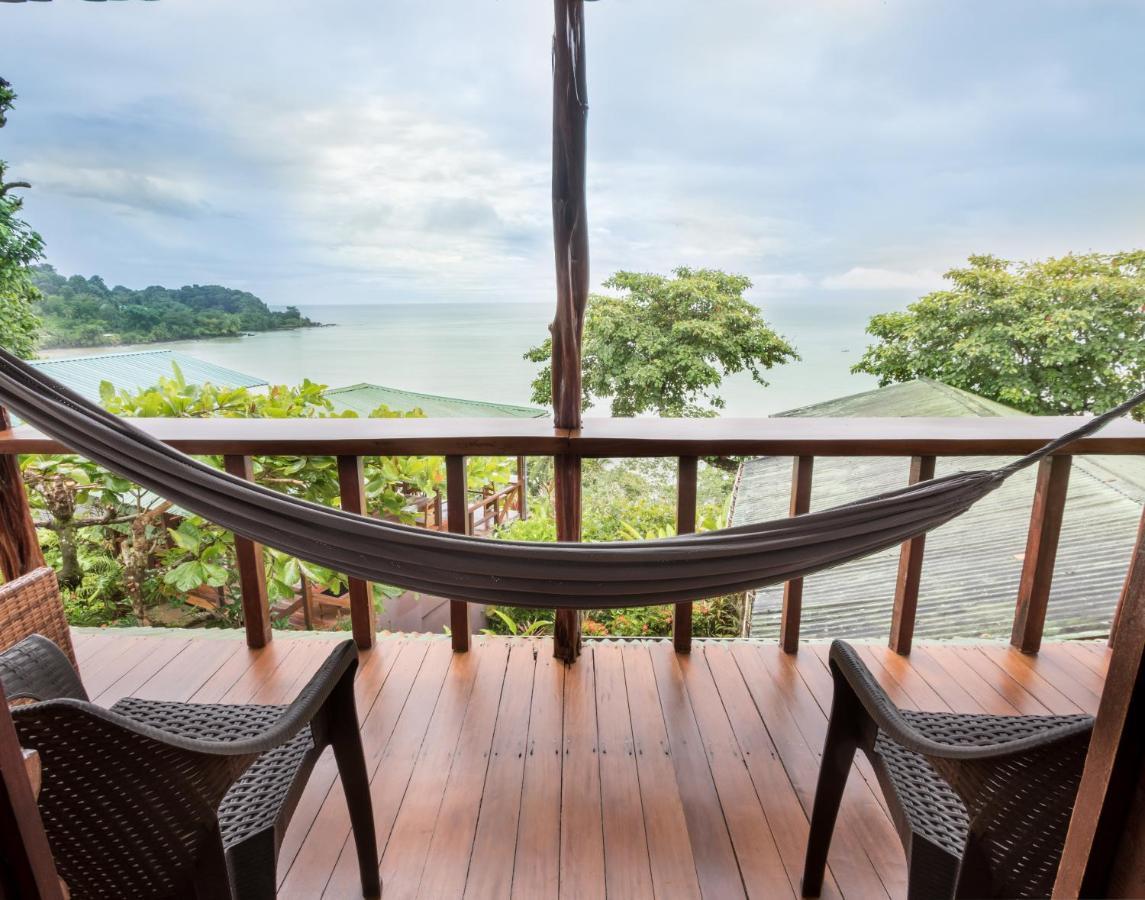 Cotingas Ocean View *